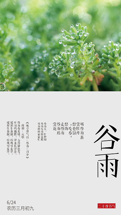 谷雨二十四节气节日海报