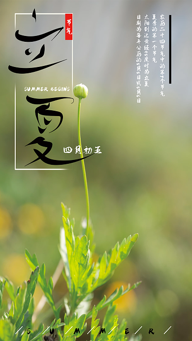 二十四节气之立夏海报