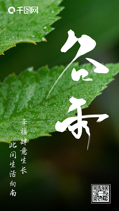 创意简约二十四节气谷雨海报设计