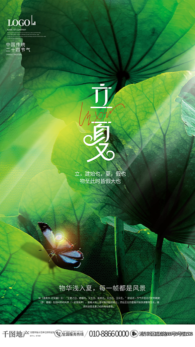 简约小清新荷叶质感二十四节气立夏节气海报