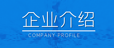 企业介绍简介公司概述文化前景愿景首页