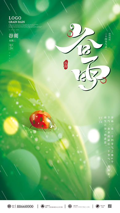 谷雨绿色小清新简约节气海报