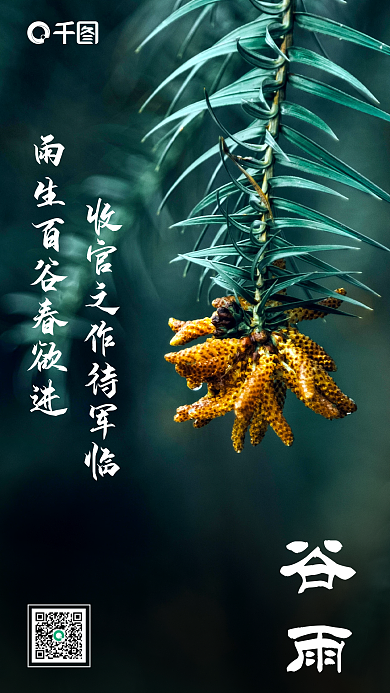 创意简约二十四节气谷雨手机海报设计