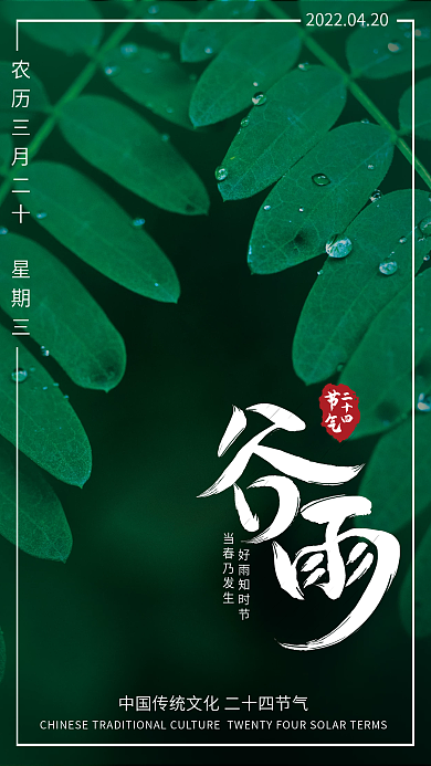 清新简约谷雨节气摄影图海报