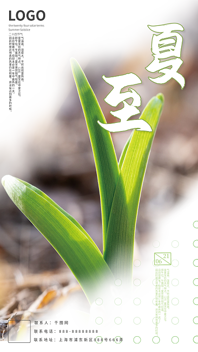 夏至宣传营销海报