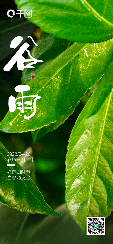 谷雨绿叶手机海报
