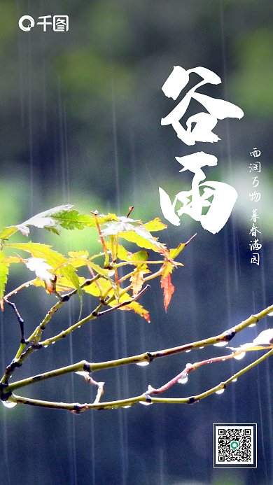 创意简约二十四节气谷雨手机海报设计