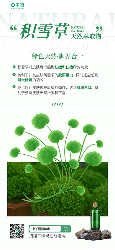 美容产品成分详情宣传手机长图海报