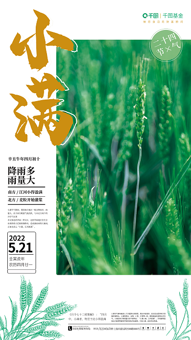 传统二十节气小满基金麦穗海报