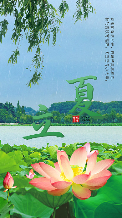 绿色清新立夏荷花湖面柳枝海报