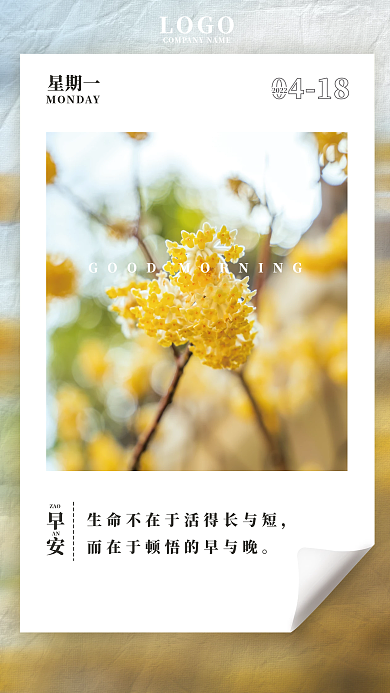 小清新简约早安励志小黄花日签朋友圈海报