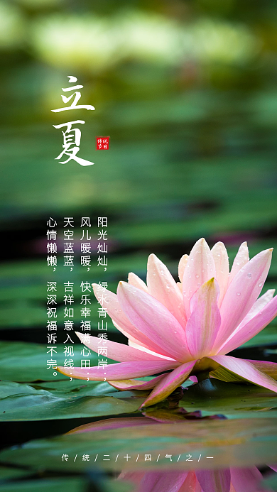清爽荷花立夏清新手机海报