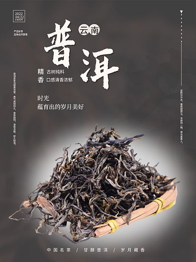 中国传统茶文化普洱茶海报