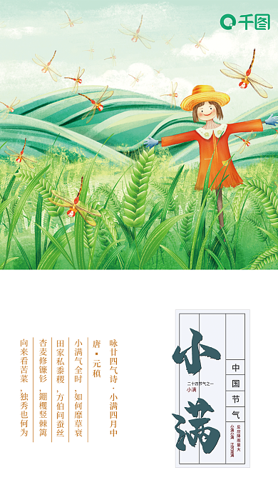 卡通二十四节气小满海报