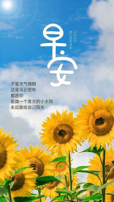 早安向日葵摄影手机海报