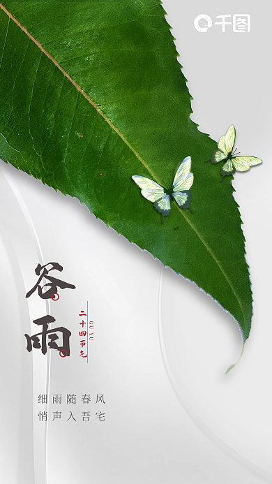 谷雨节气手机海报