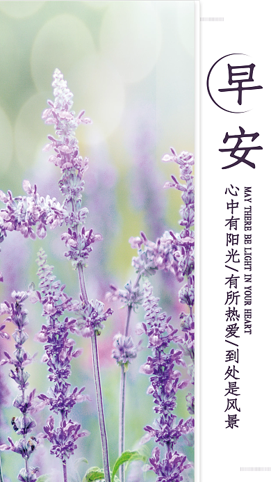 小清新简约正能量心语日签朋友圈早安海报