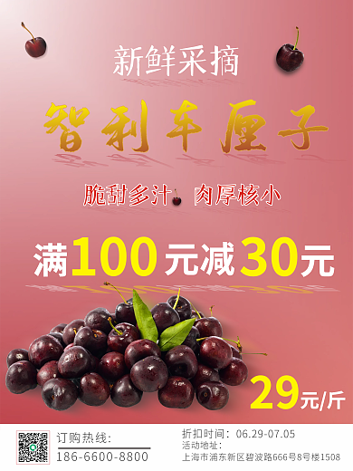 喜庆粉红色智利车里子促销海报