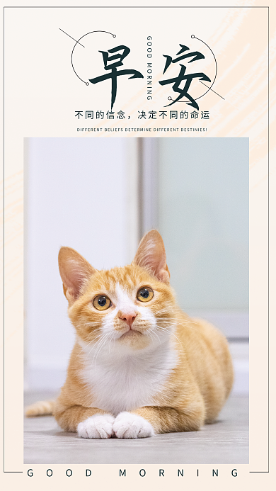 简约清新正能量励志问候日签朋友圈早安海报