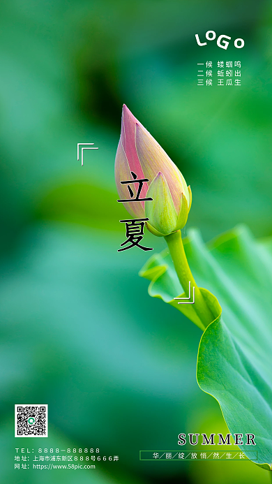 立夏节气手机海报