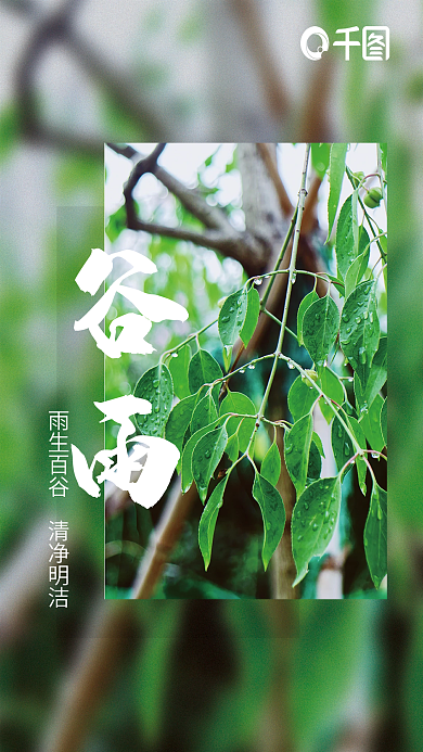 简约谷雨节气海报