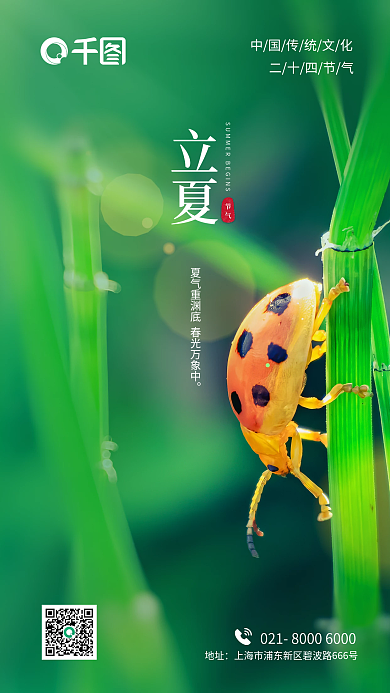 立夏惊蛰地产中国传统节日二十四节气海报