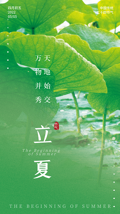 立夏海报二十四节气荷叶荷花池绿色背景