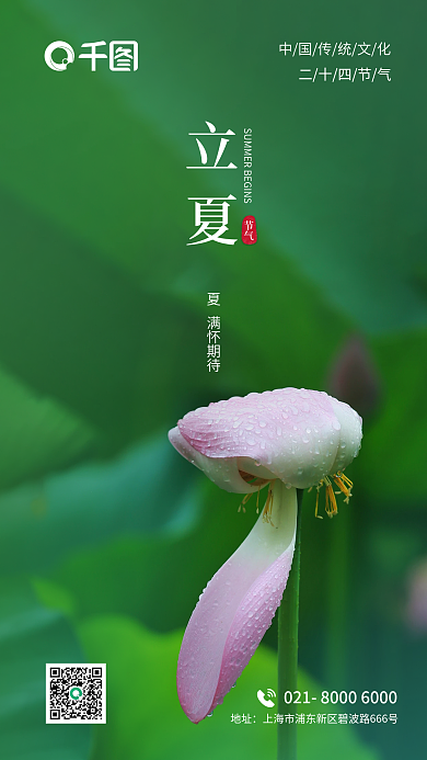 立夏节气地产酒店中国传统节日二十四海报