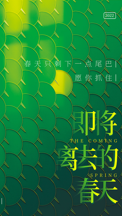 即将离去的春天 荷叶光影简洁