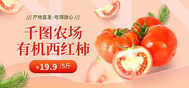 番茄西红柿有机西红柿农场食品海报banner