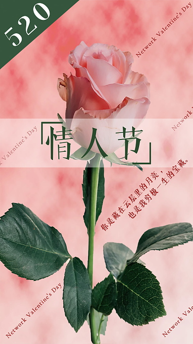 粉色玫瑰520情人节情人节节日海报