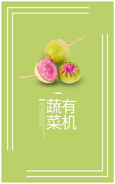 有机蔬菜有机蔬菜简约风海报