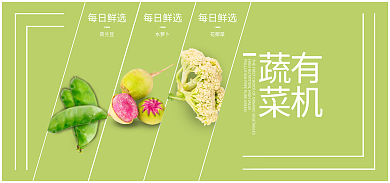 有机蔬菜有机蔬菜简约风海报