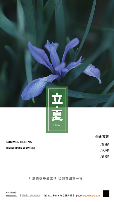 摄影图立夏海报大气