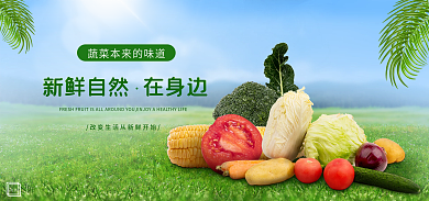 新鲜蔬菜316简约海报