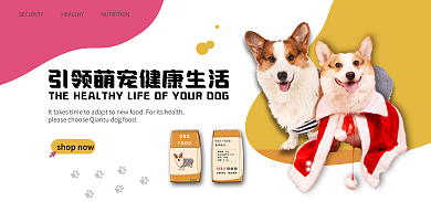 宠物狗狗粮