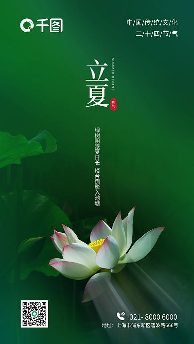 夏至立夏地产中国传统节日二十四节气海报