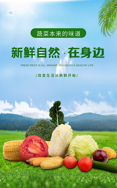 新鲜蔬菜316简约海报