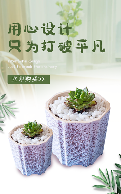 淘宝电心立即购买