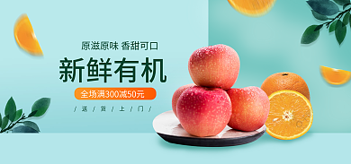 简约风新鲜有机送货上门水果生鲜海报banner