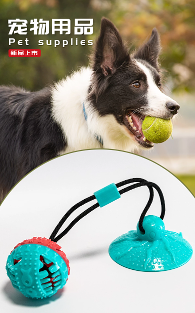 电商宠物用品海报banner