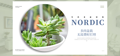 淘宝绿植多肉盆栽多肉海报