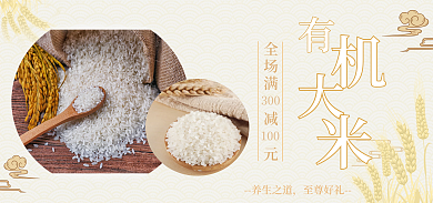 大米首页全场满减元300商品促销