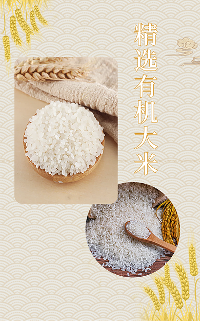 大米首页商品促销