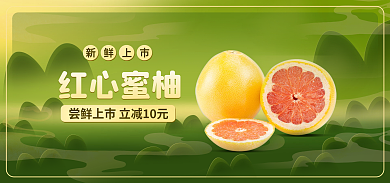 柚子水果红心蜜柚促销绿色海报banner