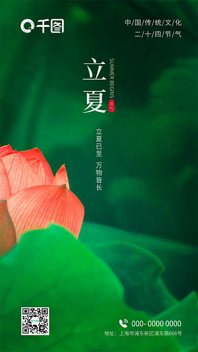 夏至立夏地产中国传统节日二十四节气海报