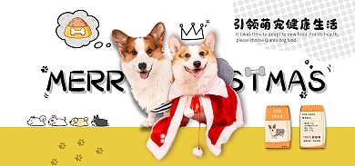 宠物粮柯基banner