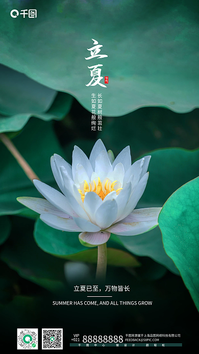 绿色清新立夏节气质感立夏节气摄影手机海报