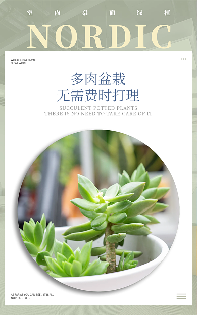 淘宝绿植多肉盆栽多肉海报