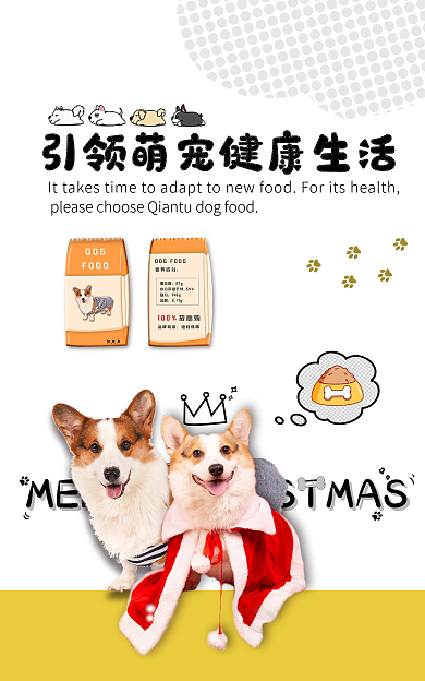 宠物粮柯基banner
